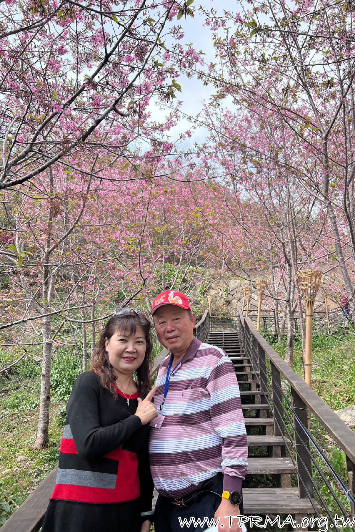 20230317 18阿里山小火車之旅 230323 440