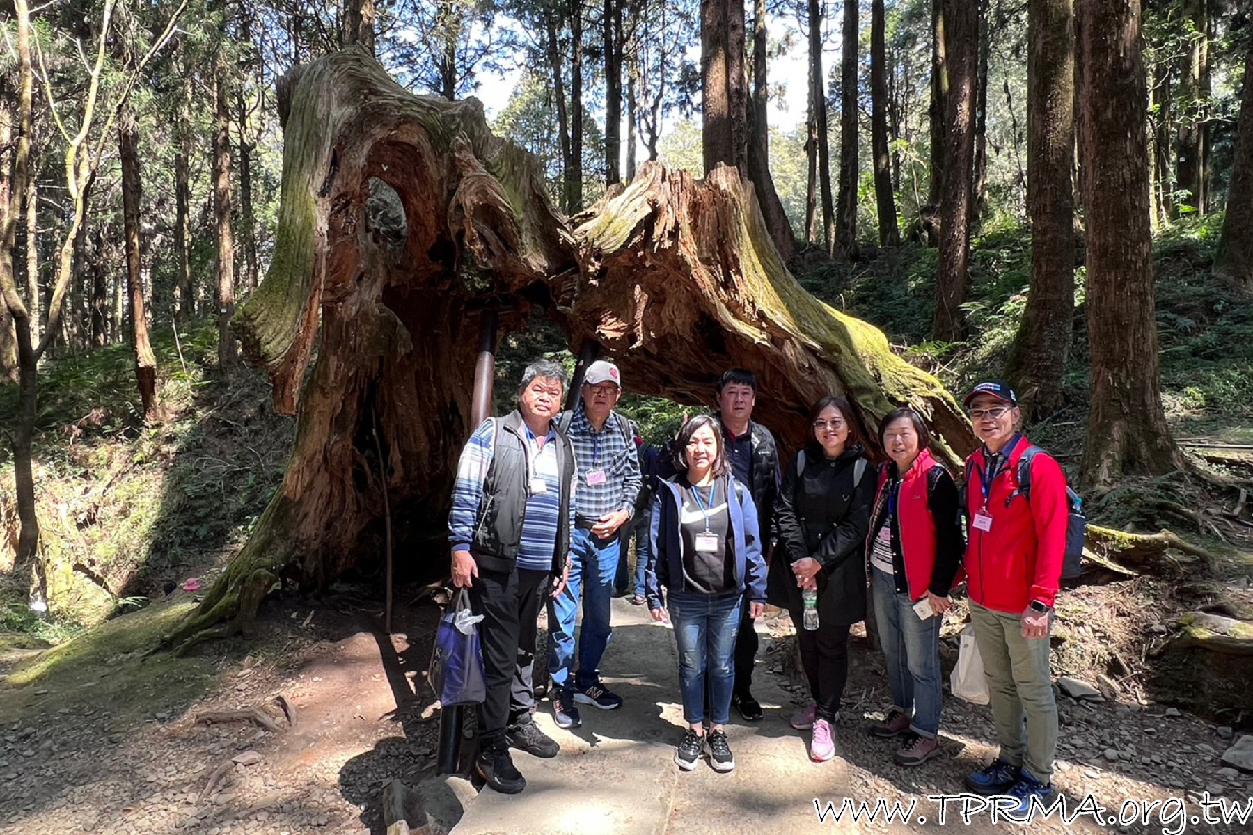 20230318阿里山森林遊樂區 230323 511